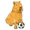 Capybara Football