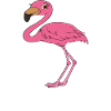 Lustige Flamingo-Grafik
