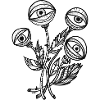Eye plant