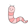 Worm Earthworm