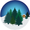 Christmas trees in nature