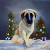Kangal Christmas - Christmas Kangal