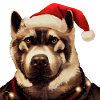 Noël américain Akita