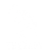 Équitation Sport équestre