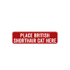 Emotional - British Shorthair Cat