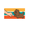 Best Boykin Spaniel Dad Ever
