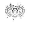 Aries Zodiac sign March April