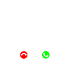 Bernedoodle Dog