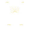Bernedoodle Dog