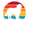 Berner Sennenhund