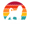 Bernedoodle Dogs