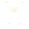 Bernedoodle Dog