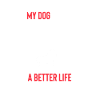 Bichon Frise