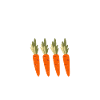 Vegetable Lover Vegetarian Gifts