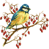 Bunter Vogel