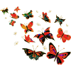 Papillons