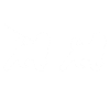 Bernedoodle Dog