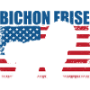 Bichon Frise
