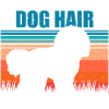 Bichon Frise