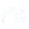 Bernedoodle Chien