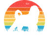 Bernedoodle Chien