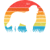 Bouvier bernois