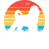 Bernedoodle Dog