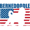 Bernedoodle Dog