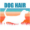 Basset Hound