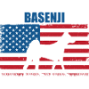 Basenji