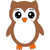 brown owl bird bird protection