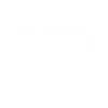 Retired Business Process Analyst