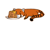 Pancakes for breakfast