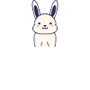 Lapin rongeur Lapin Pet
