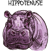 Hippo