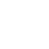 Party Team