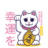 Lucky Cat Good Luck