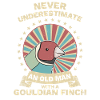 Gouldamadine Estrildidae Gouldian Finch Retro