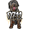 Rottweiler 0711