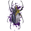 Coléoptère coléoptère insecte