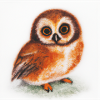 Aquarelle de hibou mignon