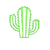 Cactus Garden