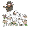 Black Sheep