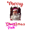 Santaclaus rose