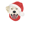 Joyeux Noël Labrador