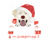 Labrador Weihnachtsmarkt
