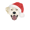 Joyeux Noël Labrador