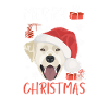 Joyeux Noël Labrador