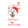 Joyeux Noël Labrador