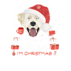 Labrador Weihnachtsmarkt